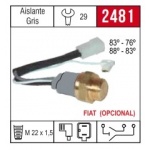 BE2481