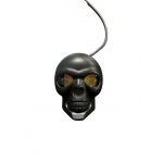 LED-CALANEG